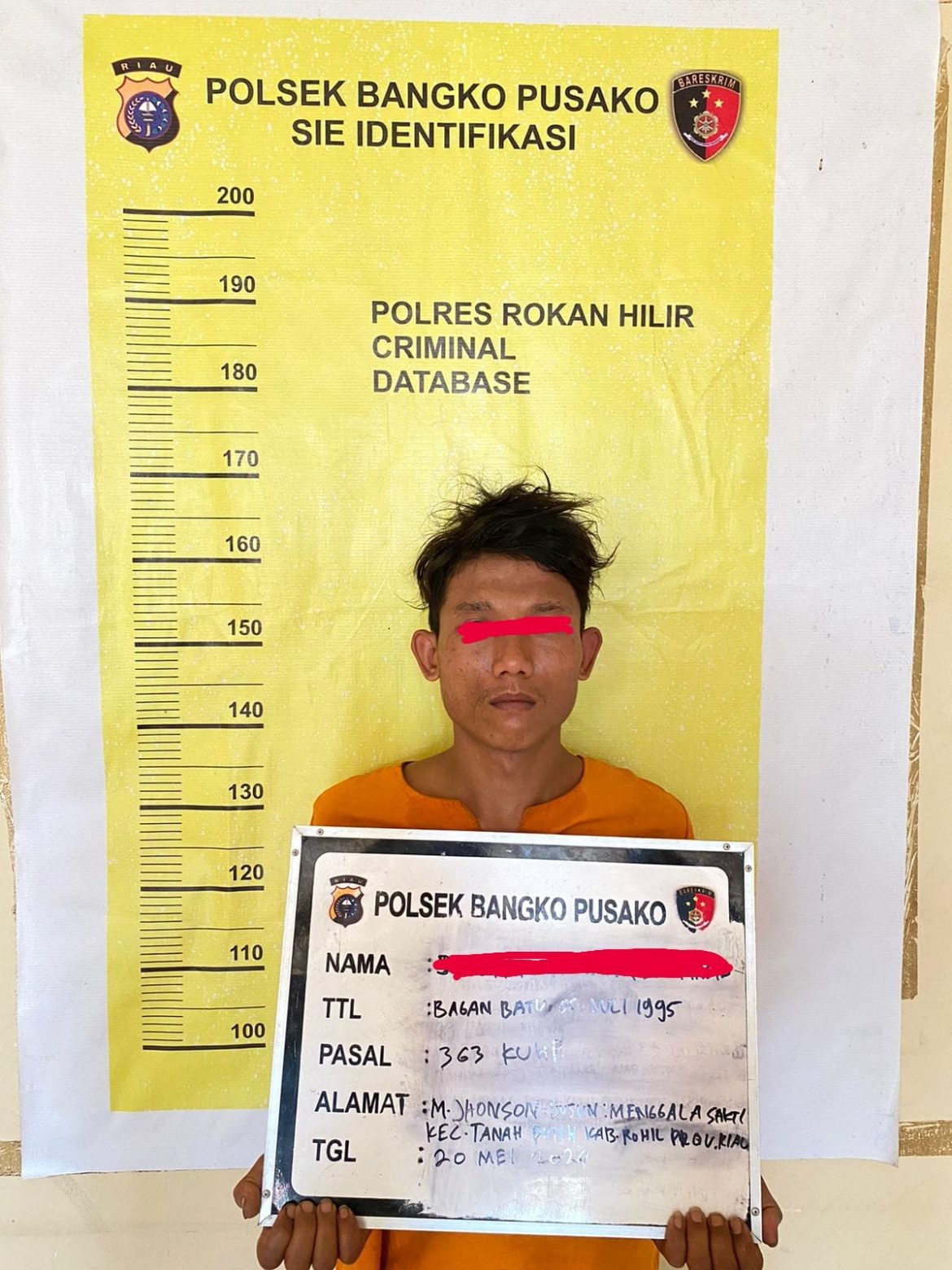 Berhasil Diringkus Unit Reskrim Polsek Bangko Pusako Polres Rohil 1 dari 2 Pelaku Pencuri Sarang Walet