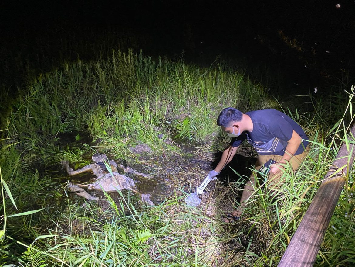 Penemuan Mayat Dalam Kondisi Rusak Di Jln Lintas Riau Sumut Dusun Teluk Kotak Kepenghuluan Pematang Ibul Rohil