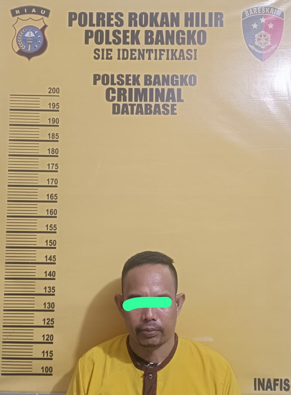 Polres Rohil Meringkus TV als Topit Terkait Penyalah gunakan Narkotika Jenis Sabu