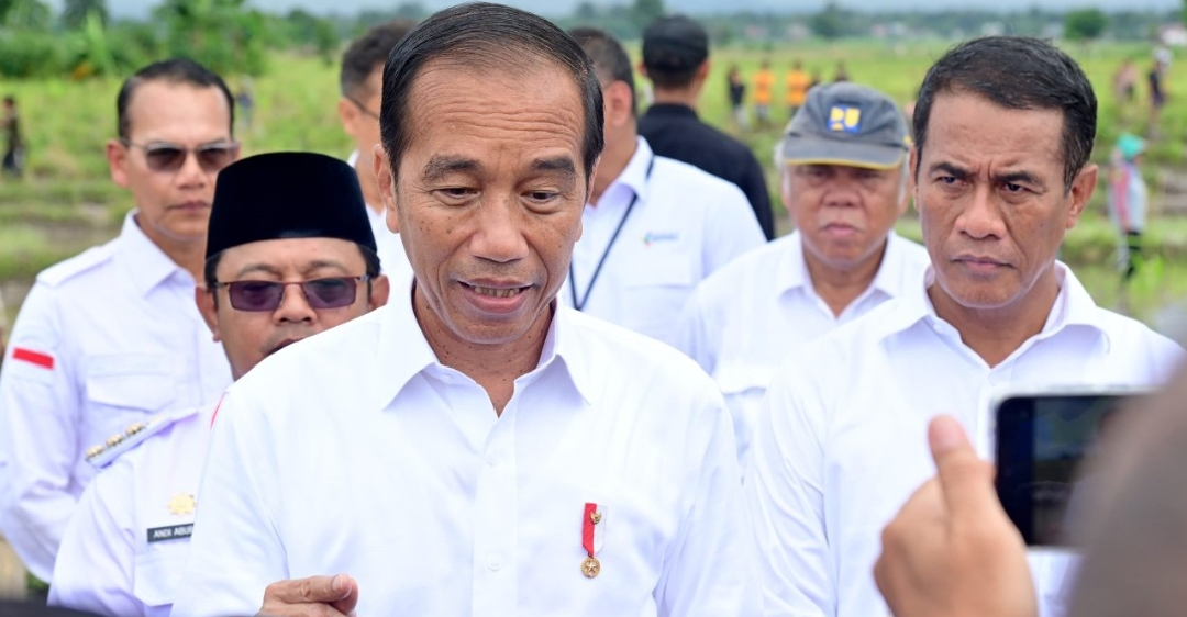 Presiden Jokowi Sebut Potensi IKN Akan Dongkrak Ekonomi Sektor Pertanian Bagi Daerah Sekitar