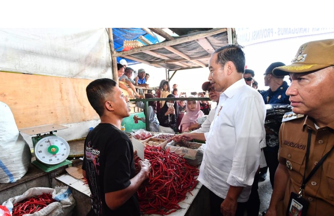 Presiden Jokowi Tinjau Pasar Kota Agung, Cek Harga dan Berikan Bantuan Modal Kerja