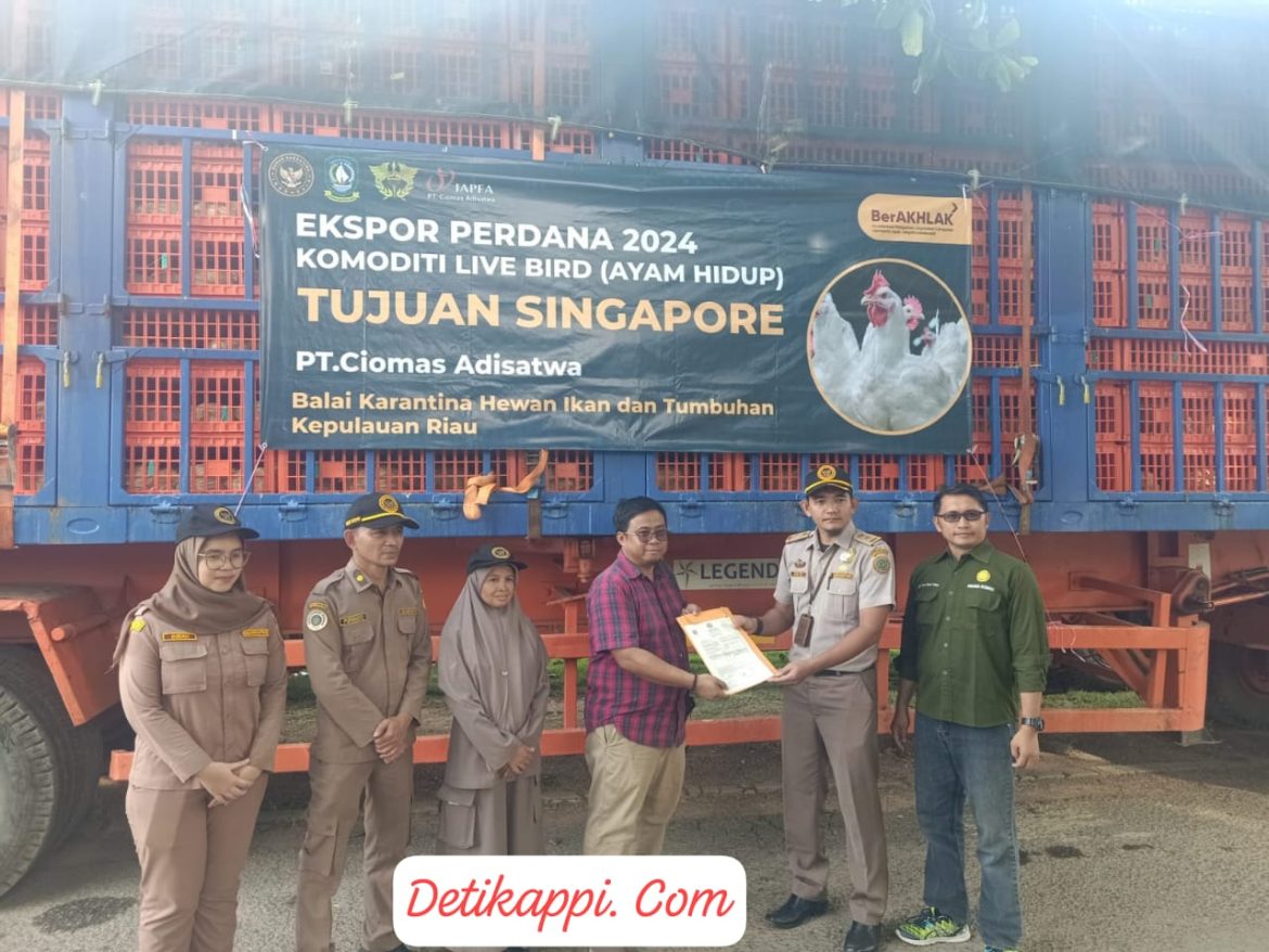 DKPP Bintan Kembali Fasilitasi Ekspor Ayam Hidup Ke Singapura