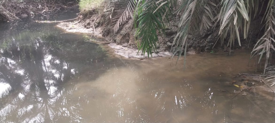Diduga kuat,Limbah PKS PT KCN diRohul cemari Sungai Ngaso.