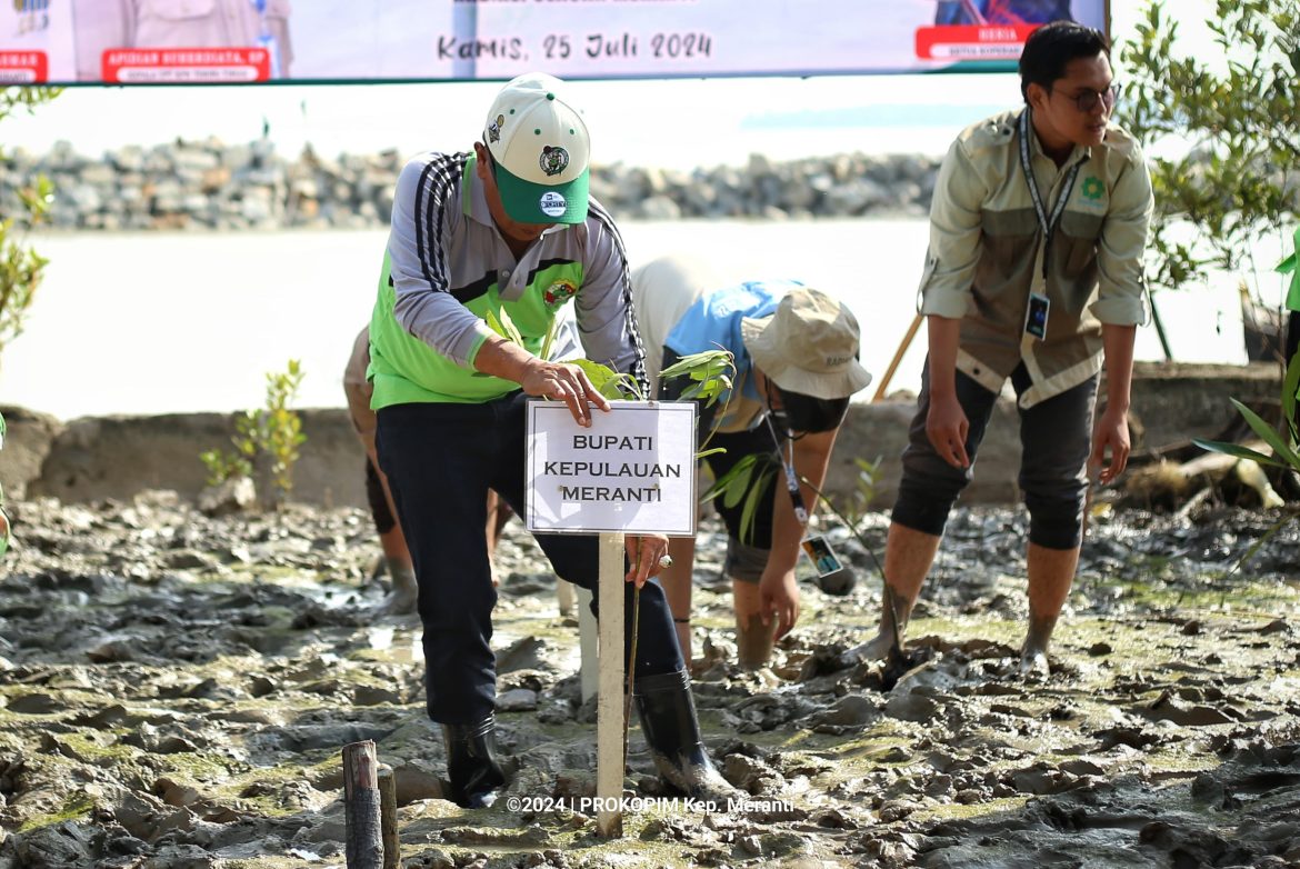 Bupati Asmar Ikuti Penanaman 2000 Bakau di Desa Mekong