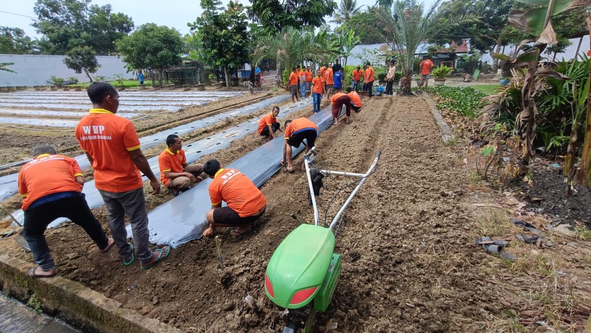 Tingkatkan Skill, Warga Binaan Lapas Pasir Pengaraian diberi Pelatihan Budidaya Tanaman Holtikultura