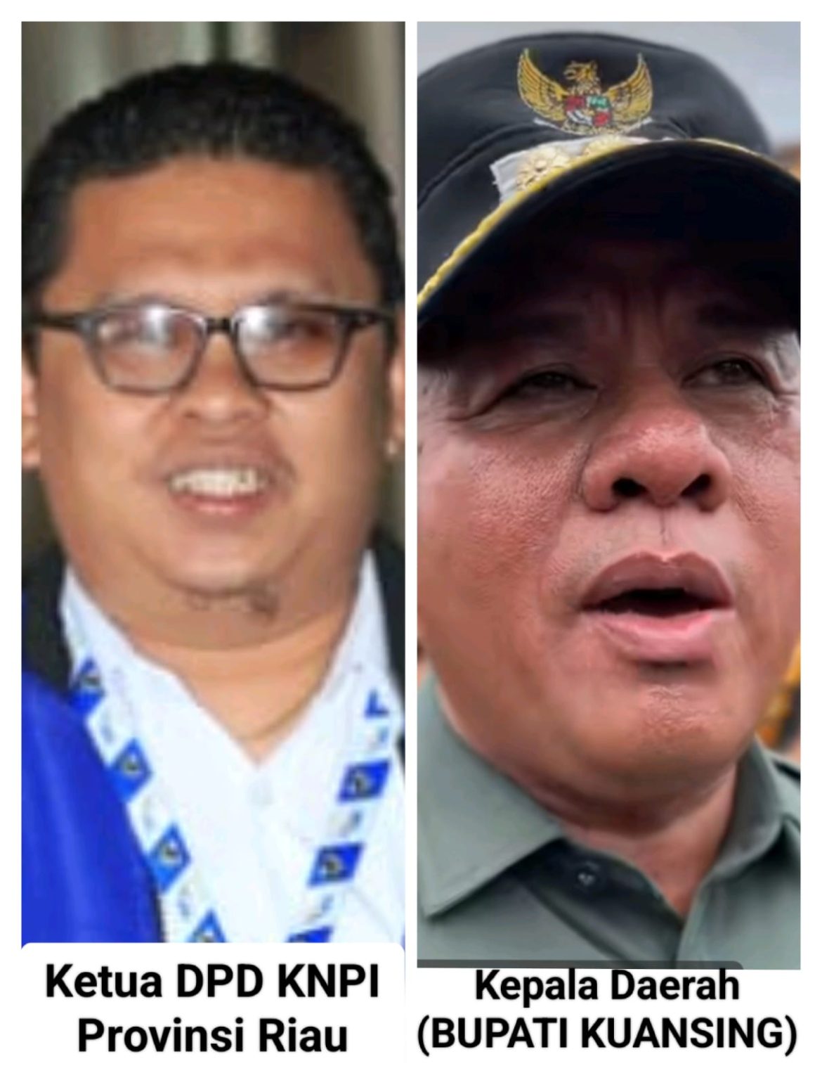 Bupati Kuantan Singingi Melarang Pembelian TBS Dari Kawasan Hutan Teso Nilo, Langkah ini Mendapat Dukungan Dari Ketua KNPI Riau