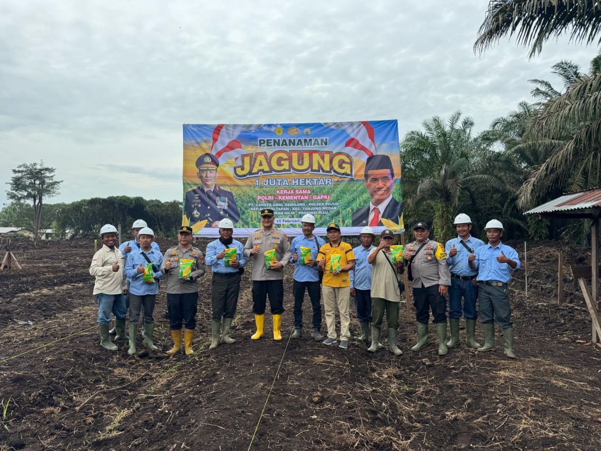 Dukung Program Asta Cita Presiden, Polsek Pujud Polres Rohil Penanaman Jagung 1 Juta Hektare