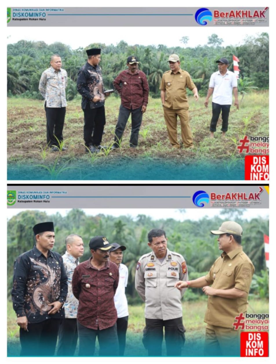 *Dukung Program Ketahanan Pangan Nasional,Wabup Rohul Tinjau Lahan di Desa Sungai Kumango*