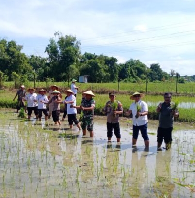 Dalam rangka GTPN, Polsek Jrengik Melakukan kegiatan penanaman padi serentak Nasional seluruh 14 Provinsi dan Zoom Meeting bersama Presiden Prabowo Subianto