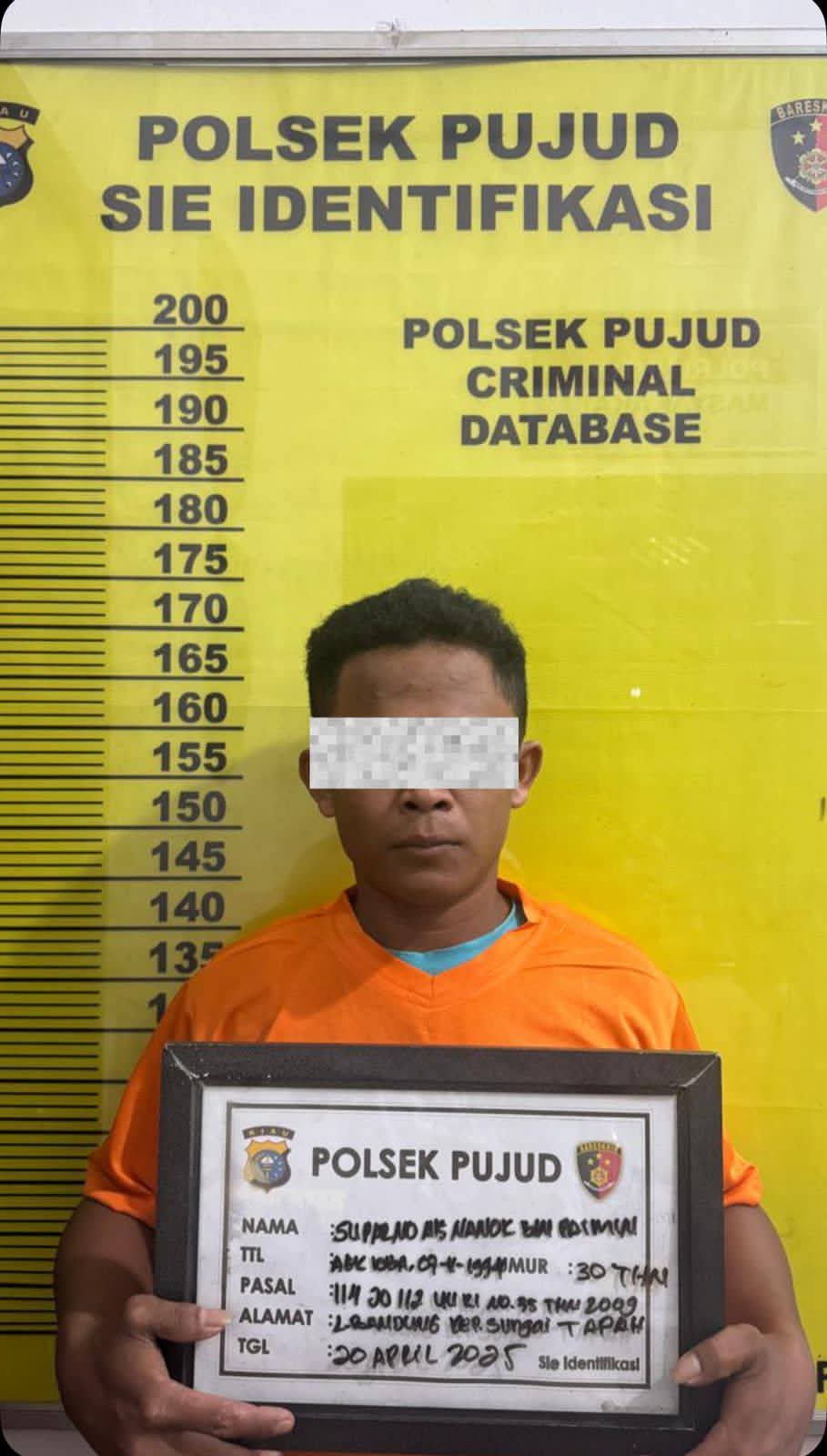 Polsek Pujud Polres Rohil Berhasil Amankan Pria yang Diduga Sering Bertransaksi Sabu di Simpang Lombok 