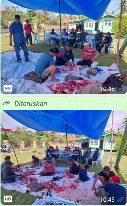 Idul Adha, Penyembelihan Sapi Qurban oleh DPC PPDI Kabupaten Bengkalis Riau
