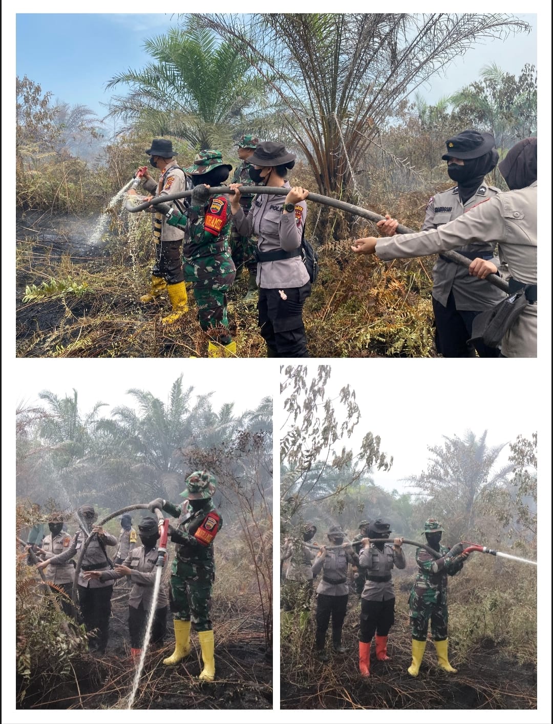 *Srikandi Danramil dan Polwan Polres Rohil ikut Memadamkan Api di Rohil*