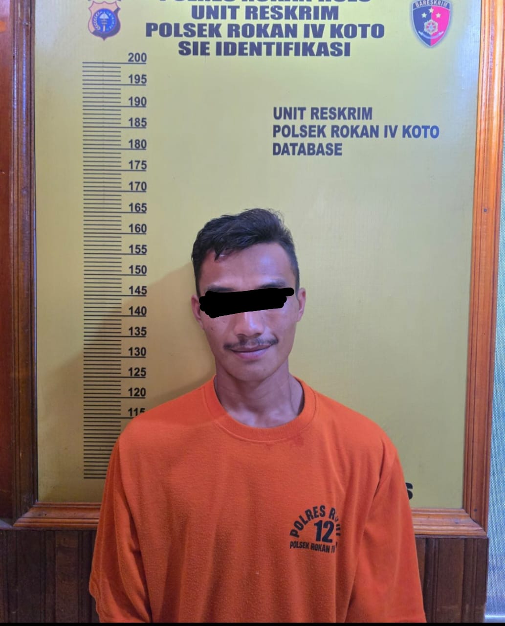 Polsek Rokan IV Koto Ungkap Kasus Narkotika Jenis Sabu, Satu Tersangka Diamankan