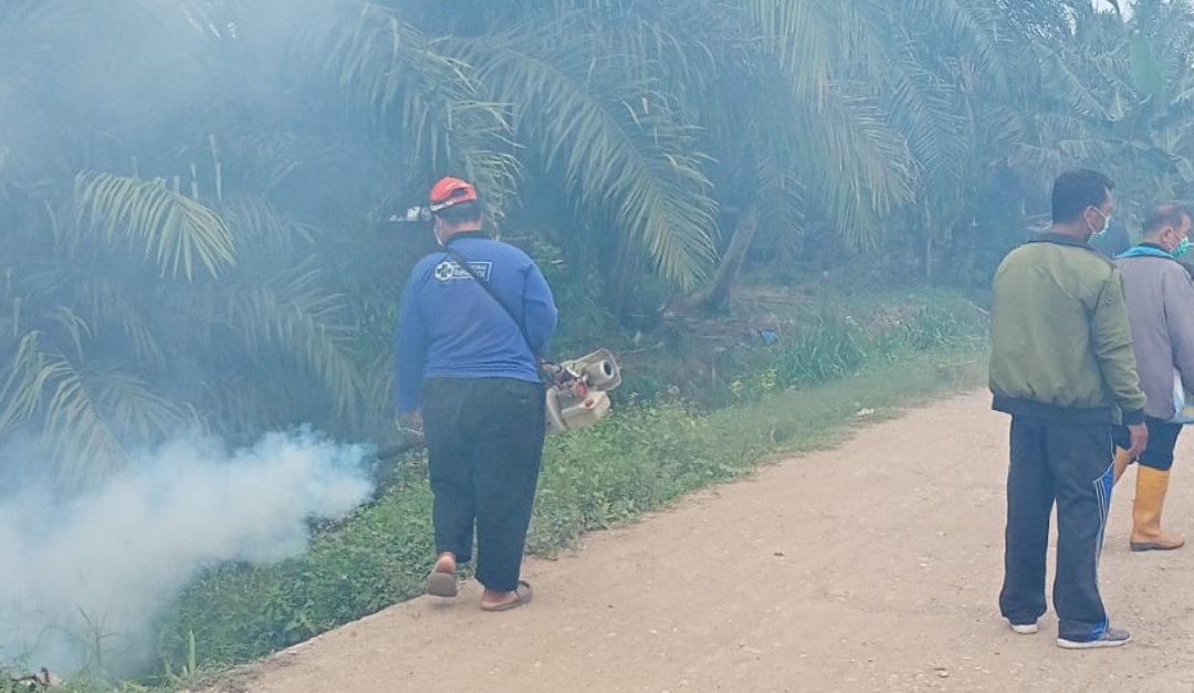 Pj Penghulu Darussalam Syafri Mengikuti Fogging Bersama bapak Dr.Sherman wirly Kepala Puskesmas kecamatan sinaboi untuk Cegah Malaria