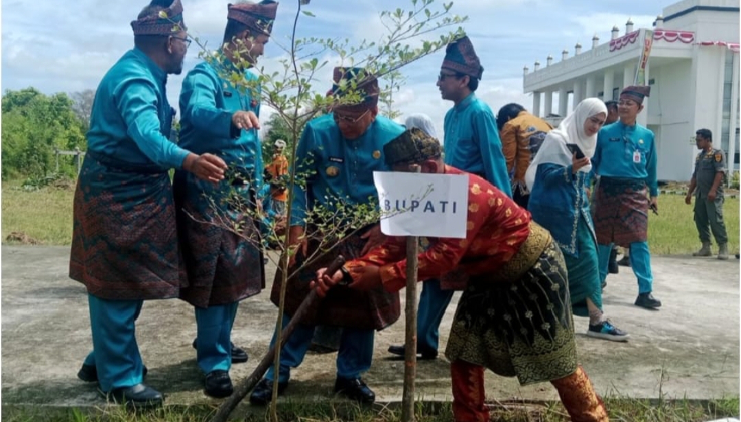 Green For Riau, Bupati Rohil Melaui DLH Rohil Terbitkan SE Gerakan Penanaman Pohon Bagi ASN dan PTT
