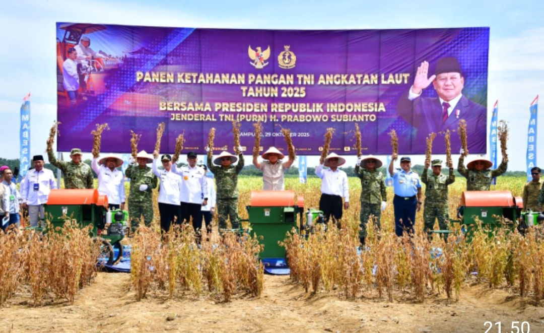 Komitmen Perkuat Ketahanan Pangan Nasional, TNI AL Panen Komoditas Kedelai Varietas Unggulan di Lampung