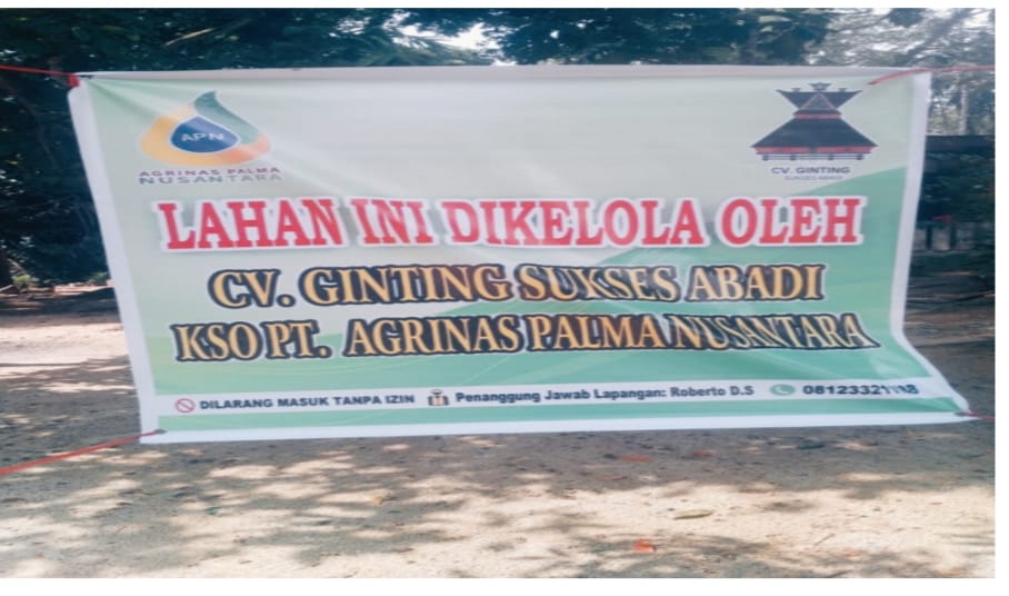 Warga Desa Kota Lama – Rokan Hulu Resah, Sekelompok Orang Atasnamakan KSO PT Agrinas Palma Nusantara Tiba-Tiba Panen Sawit Warga