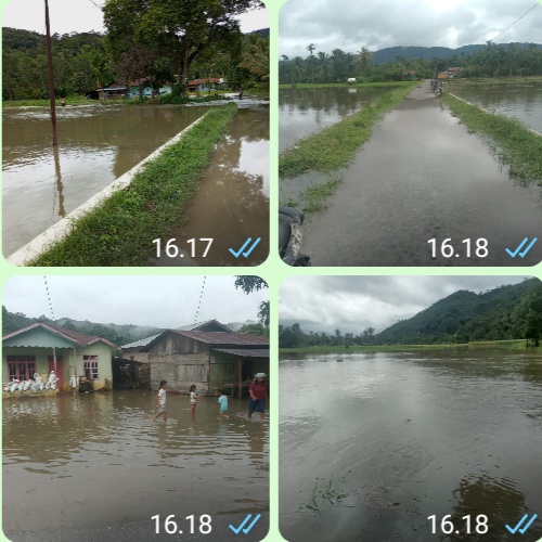 Akibat Curah hujan ,Desa Sitolu Bahal dan Dusun Parbaraan , serta Dusun Aek Mahansan di Genangi Banjir.