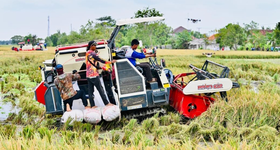 Swasembada Pangan 2025: Tonggak Sejarah Kemandirian Pangan Indonesia