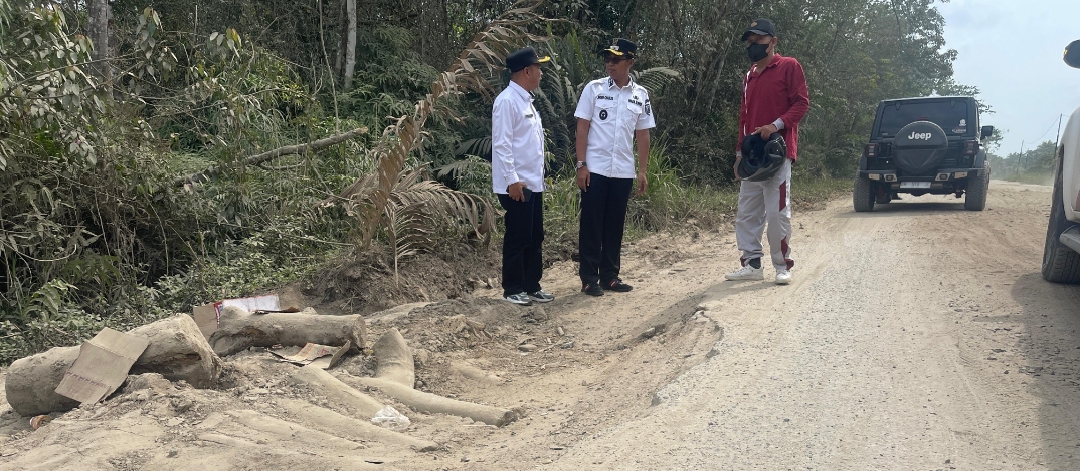 Wabup Rohil Jhony Charles Tinjau Jalan Lintas Menggala Jhonson–Pujud, Desak PUPR Provinsi Segera Bertindak