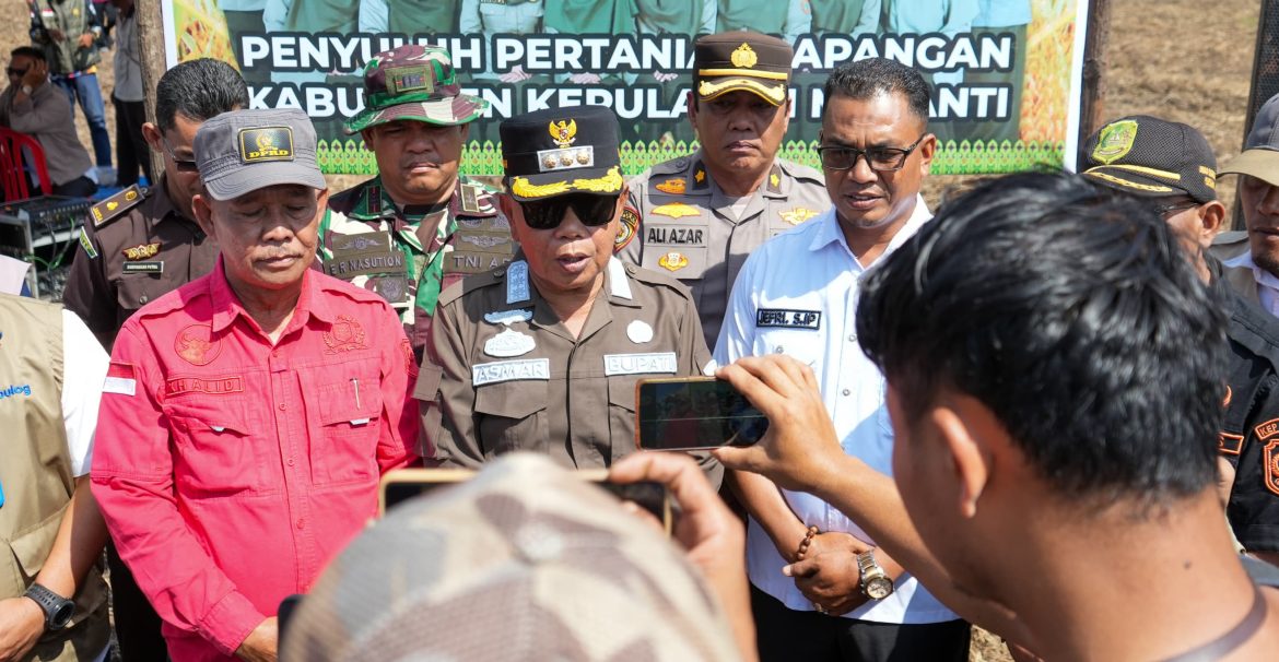 Panen Padi di Meranti Meningkat, Produksi Tembus 6.000 Ton per Tahun