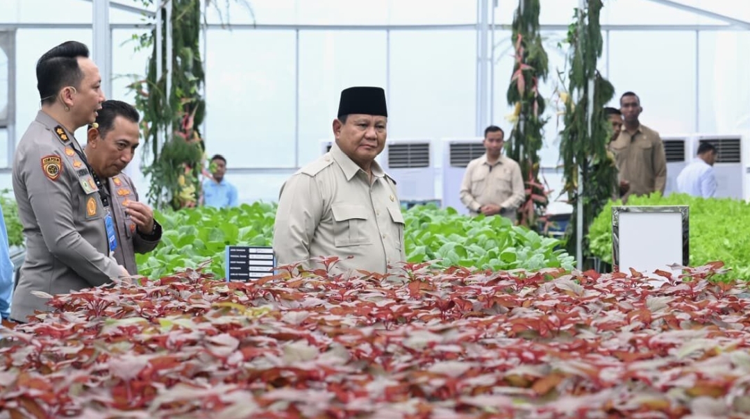 Pastikan Kesiapan Program Gizi Nasional, Presiden Prabowo Tinjau Langsung SPPG Polri Palmerah