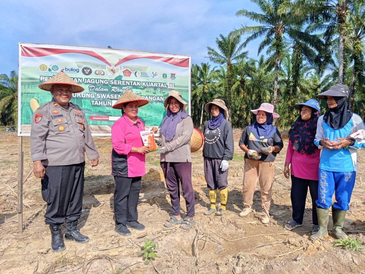 POLSEK SIMPANG KANAN TANAM JAGUNG KUARTAL I 2026, DUKUNG KETAHANAN PANGAN DAN PROGRAM ASTA CITA PRESIDEN RI