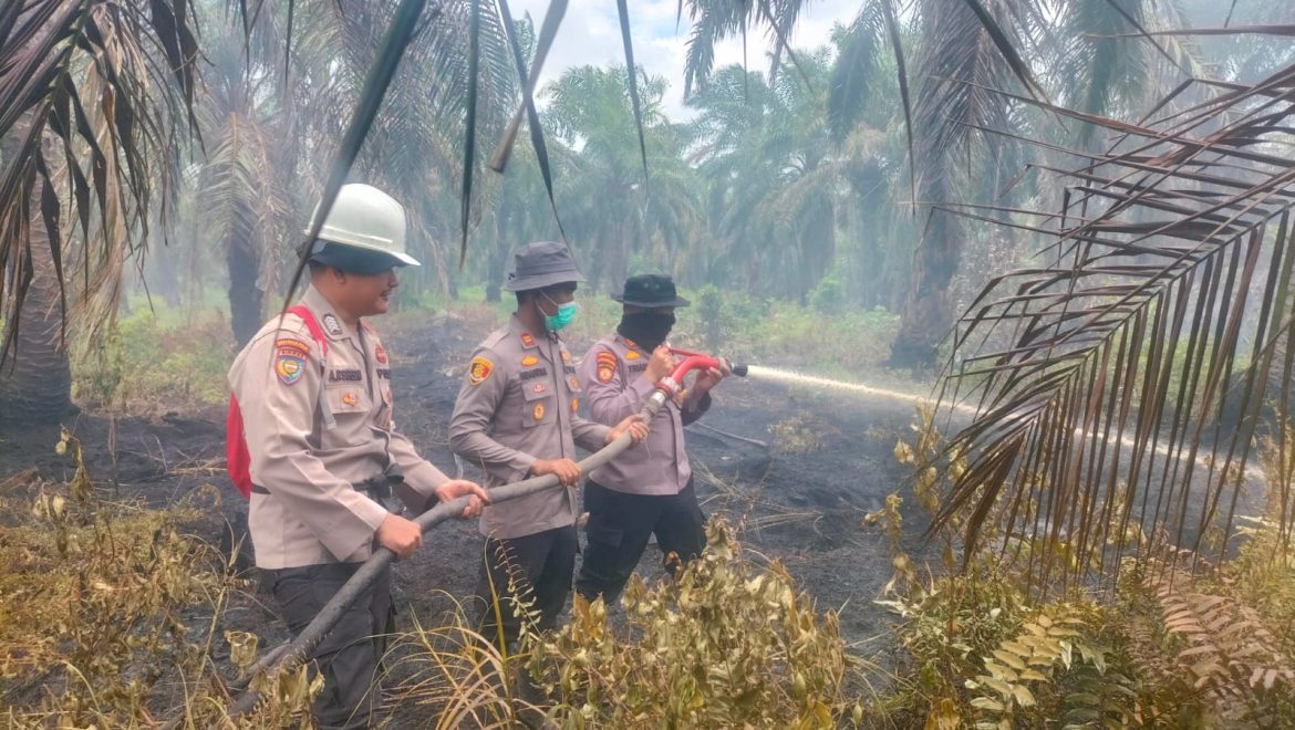 POLRES ROKAN HILIR SIGAP PADAMKAN KARHUTLA DI TANAH PUTIH, KAPOLRES TURUN LANGSUNG KE LOKASI 