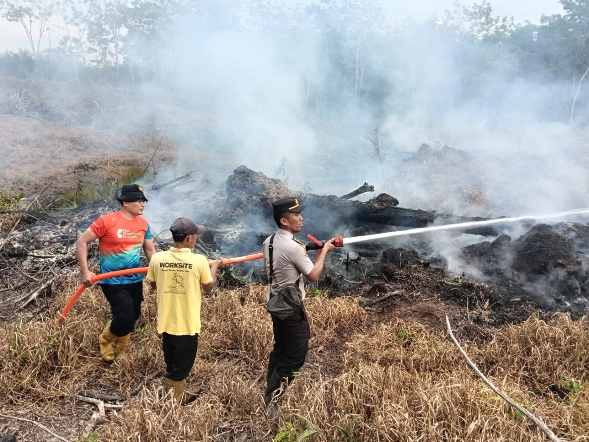 POLRES ROKAN HILIR UNGKAP PELAKU KARHUTLA, SATU ORANG DIAMANKAN DI WILAYAH TPTM