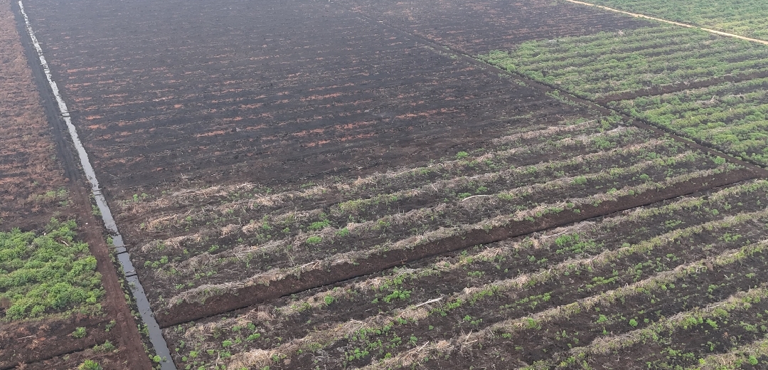 Kebakaran Lahan Sawit di Merbau Berhasil Dipadamkan