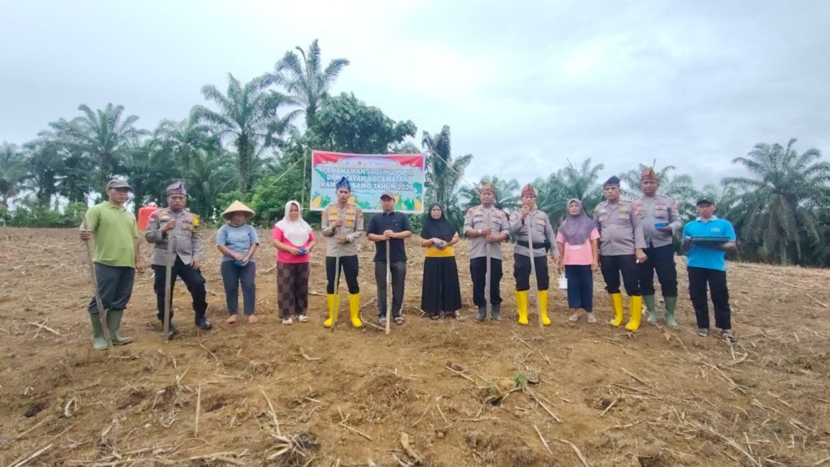Kapolsek Rambah Samo Bersama Warga Dukung Swasembada Pangan Nasional, dengan Tanam Jagung di Marga Mulya