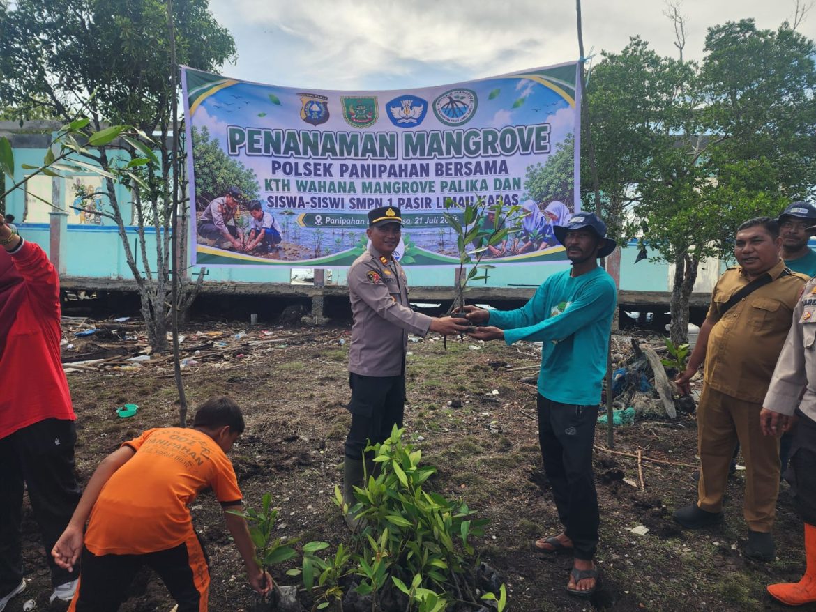 Polsek Panipahan Bersama KTH Wahana Mangrove dan Pelajar Tanam 150 Bibit Mangrove di Pesisir Pasir Limau Kapas
