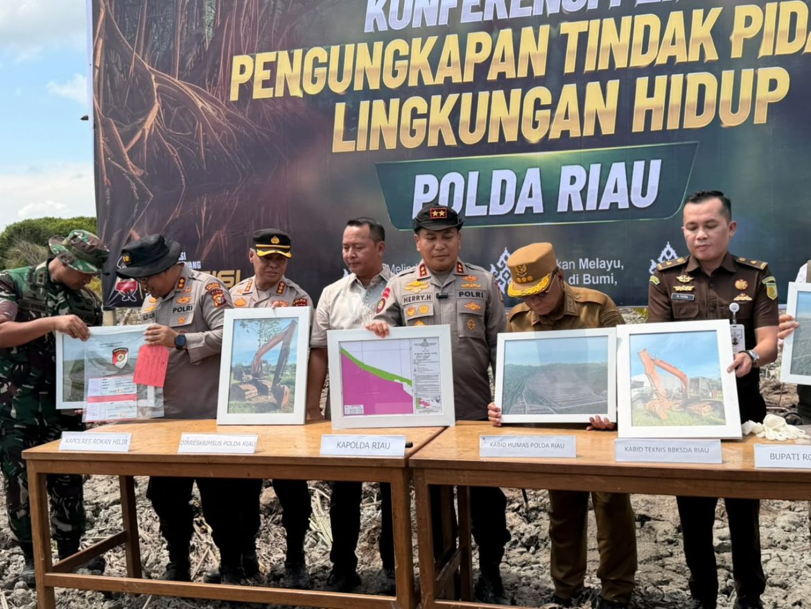 Kapolda Riau Datangi Lokasi Perusakan Mangrove Seluas 118 Hektare di Rohil, 2 Pelaku Ditangkap