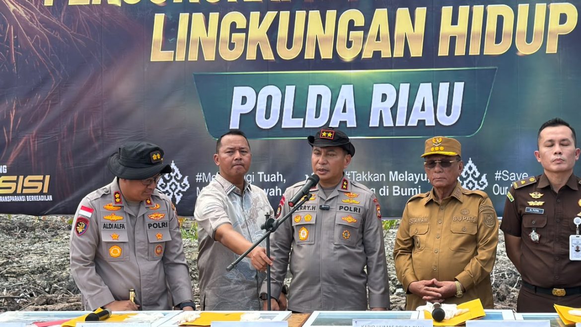 Geram Lihat Mangrove Dirusak, Kapolda Riau: Ini Benteng Masyarakat Pesisir, Tempat Satwa Berkembang Biak!
