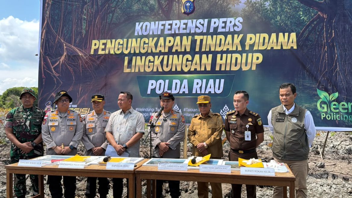 Bupati Rohil Apresiasi Polda Riau Ungkap Perusakan Mangrove, Imbau Masyarakat Tak Lagi Merusak Hutan