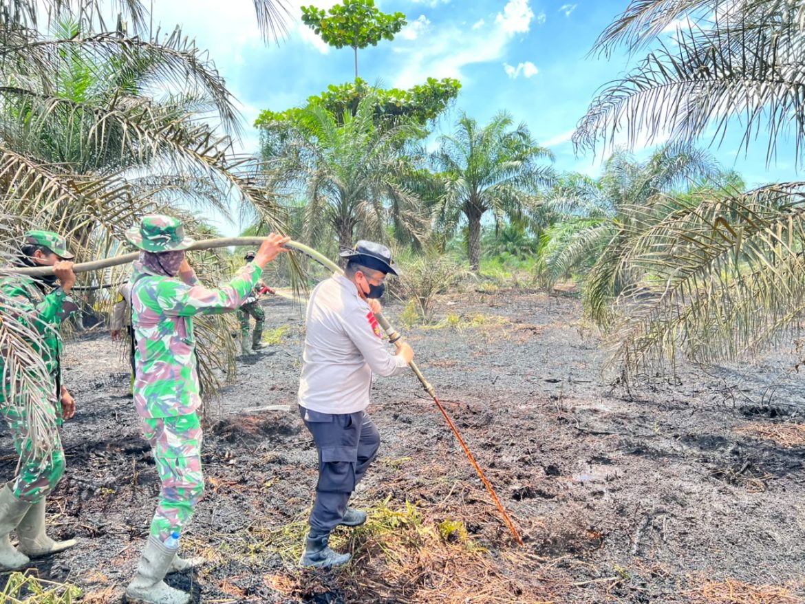 Cegah Karhutla Meluas, Wakapolda Riau dan Irdam XIX/TT Turun Langsung Padamkan Api di Pasir Limau Kapas