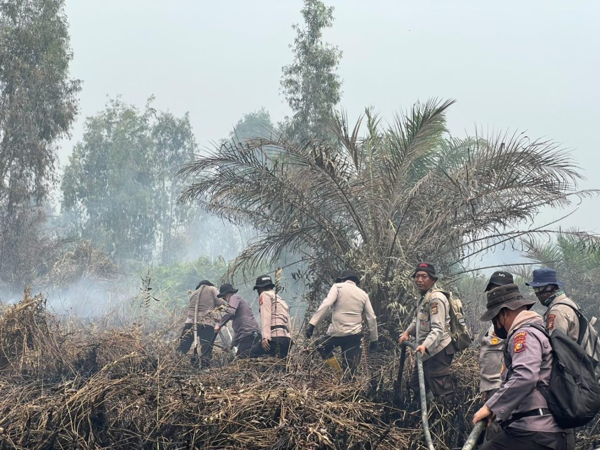 Bertambah, Polda Riau Kini Tangani 45 Kasus Karhutla, 49 Orang Jadi Tersangka
