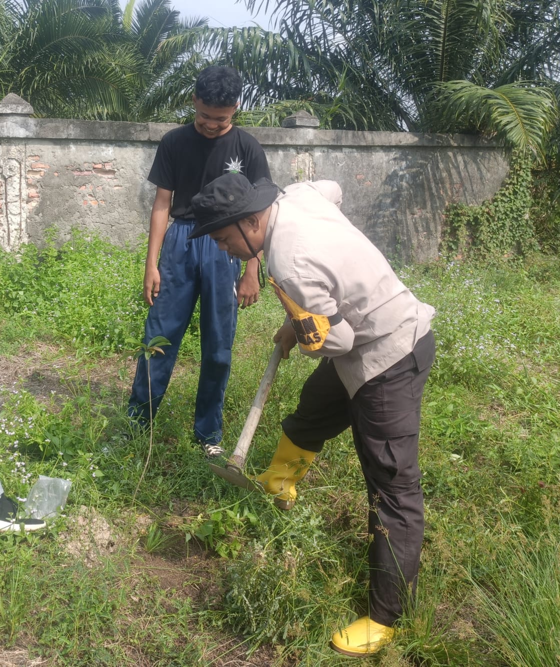 Tanam Pohon Trembesi di Sungai Bakau, Polsek Sinaboi Gencarkan Green Policing