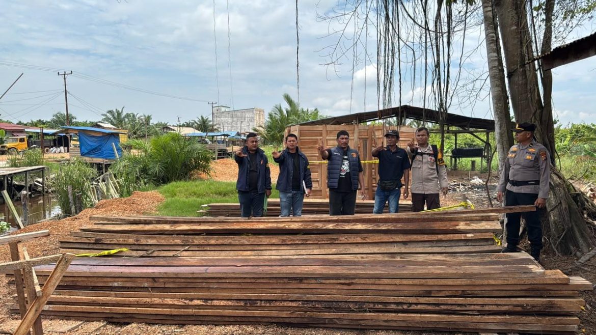 Polres Rokan Hilir tindak tegas Illegalloging di Sinaboi, 2 Tersangka Diamankan, Ratusan Batang Kayu Disita