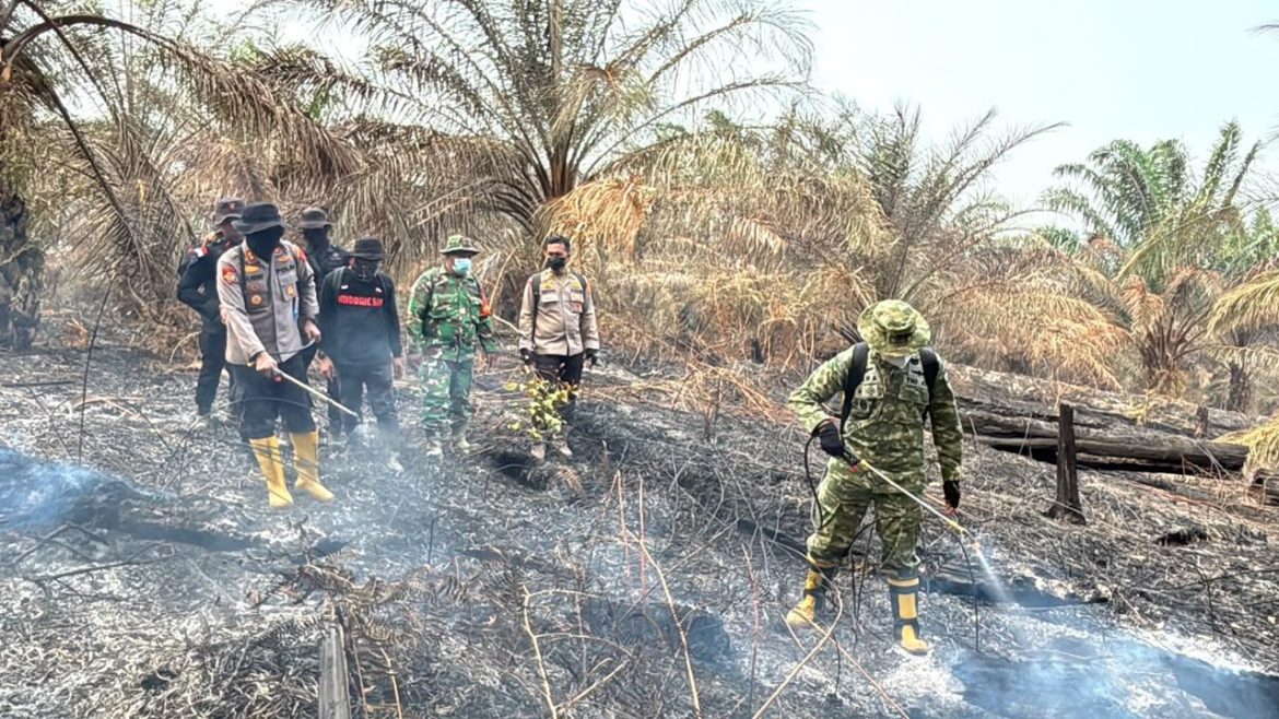Riau Zero Karhutla, Satgas Tetap Siaga Cegah Api Kembali Muncul
