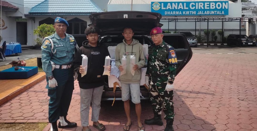 TNI AL Gagalkan Penyelundupan 75.435 Ekor Benih Bening Lobster Senilai Miliaran Rupiah