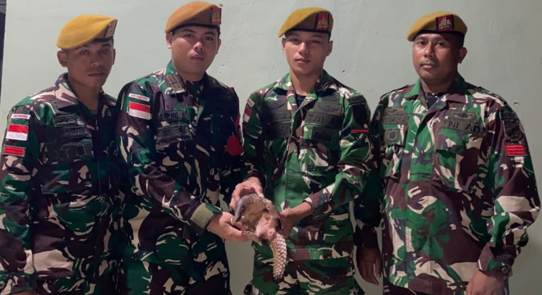 *Warga Serahkan Trenggiling Hidup kepada Satgas Yonarmed 19/Bogani, Bukti Keberhasilan Pembinaan Masyarakat Perbatasan*